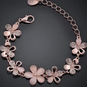 SN Fashion Collections